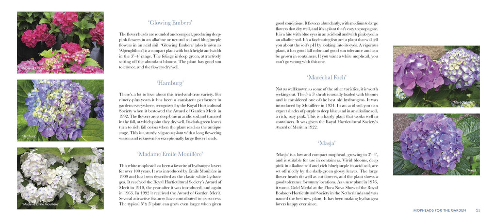 Schiffer Publishing - Marvelous Mopheads: Hydrangeas for Home & Garden