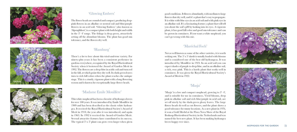 Schiffer Publishing - Marvelous Mopheads: Hydrangeas for Home & Garden