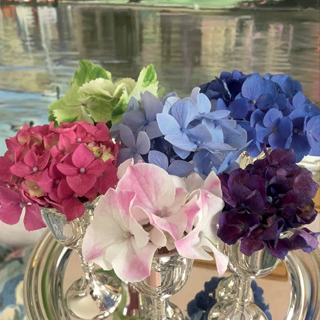 Schiffer Publishing - Marvelous Mopheads: Hydrangeas for Home & Garden