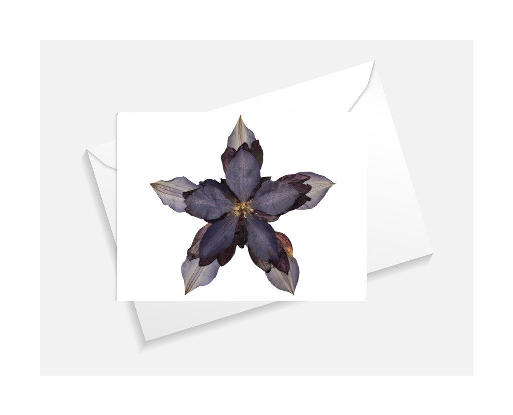 Starfish Greeting Card