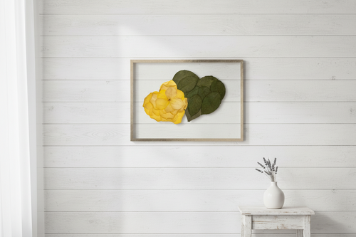 Pressed Yellow flower and green leaves in shape of 2 hearts on a white background with a gold frame.