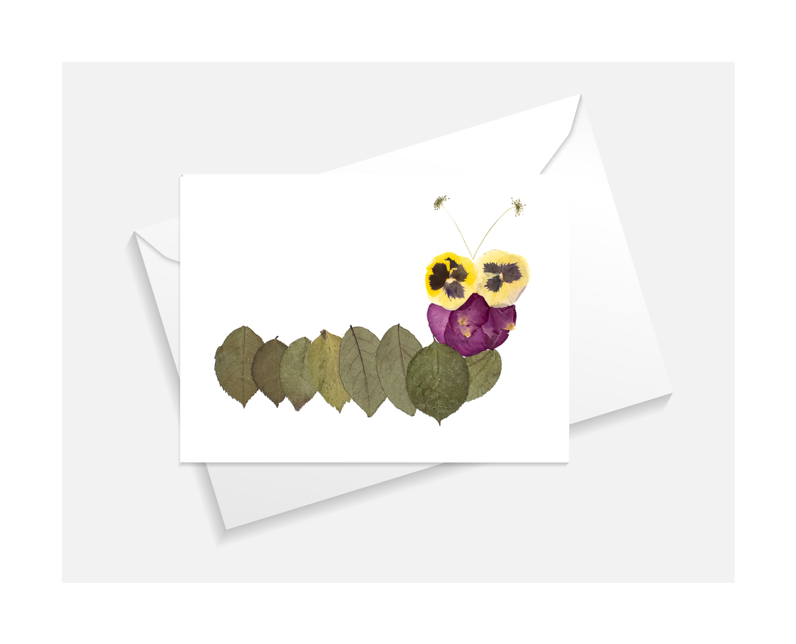 Caterpillar Greeting Card