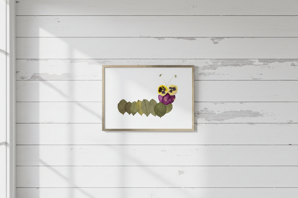 Decorative arrangement of pressed flowers and leaves to create a caterpillar in a frame on a white background