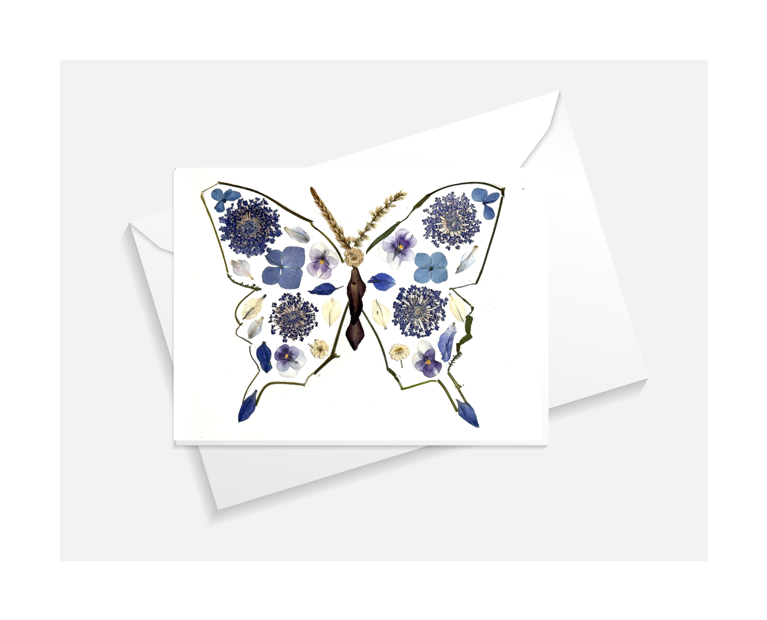 Butterfly Greeting Card
