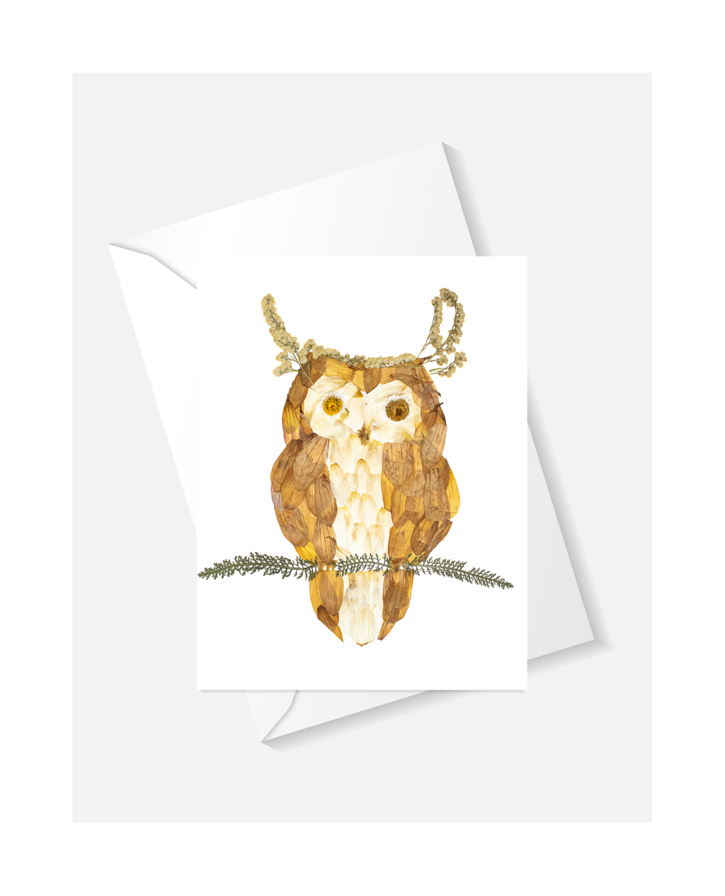 Owl Greeting Card