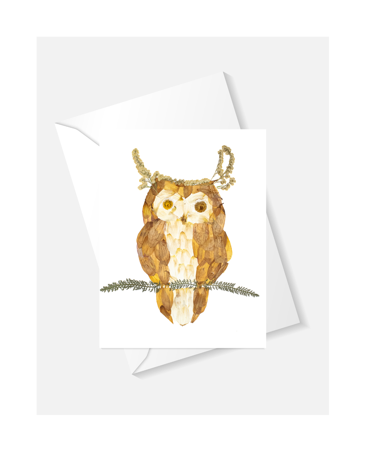 Owl Greeting Card
