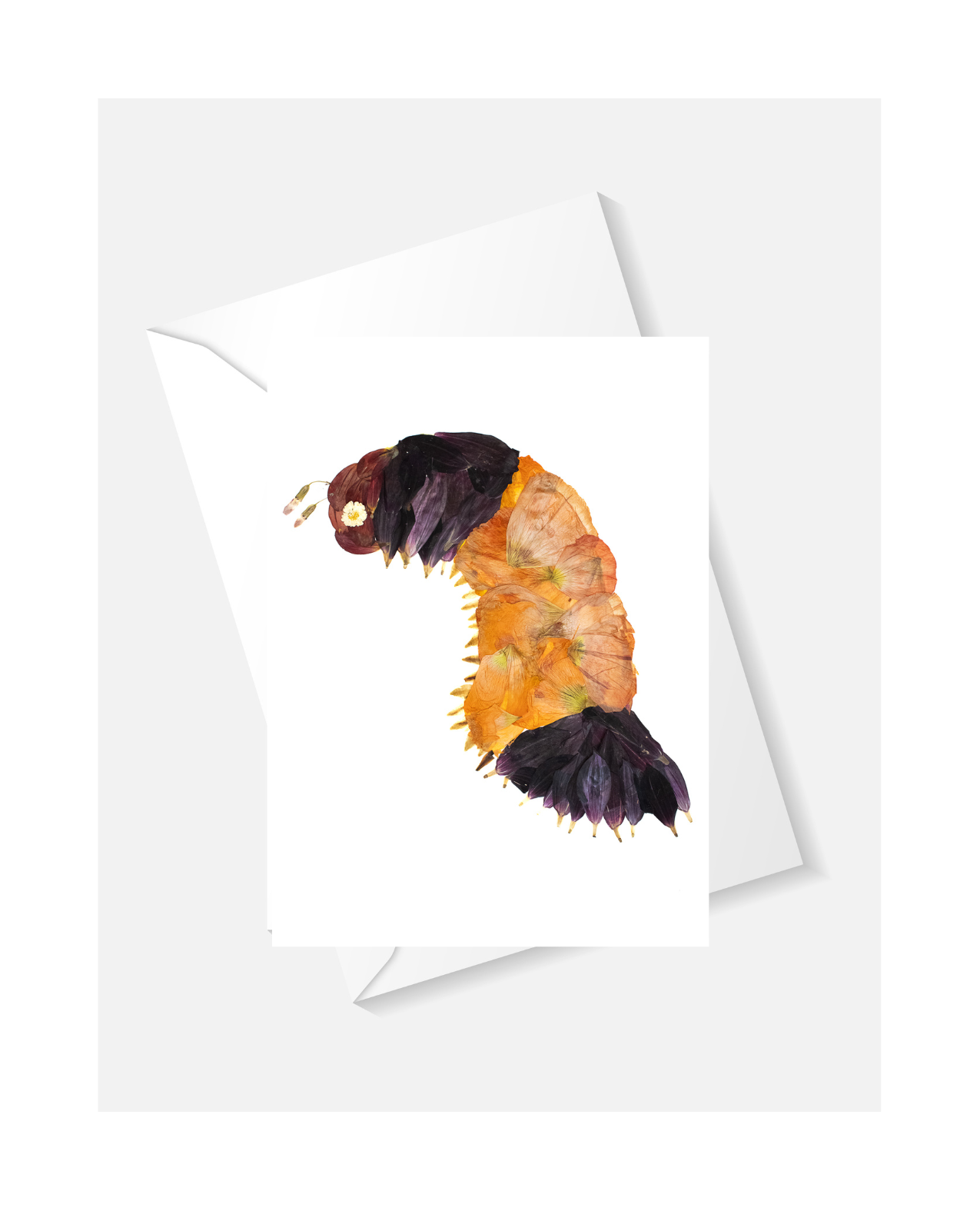 Wolly Worm Greeting Card