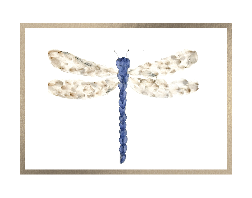Dragonfly Prints