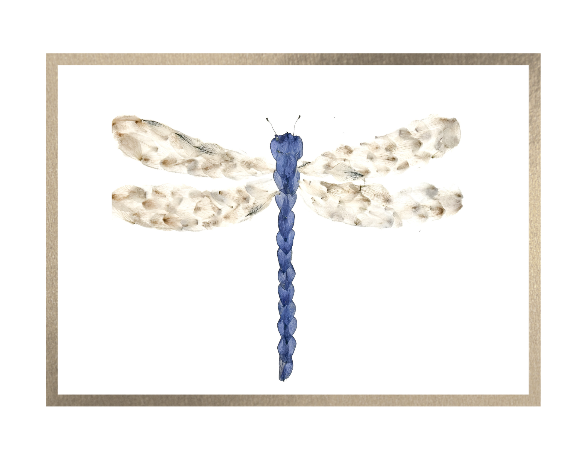 Dragonfly Prints