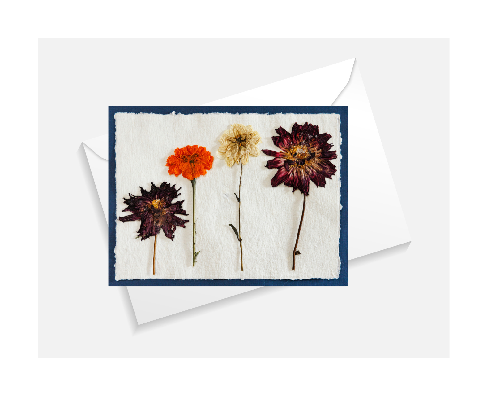 Field Study No. 2 Greeting Card