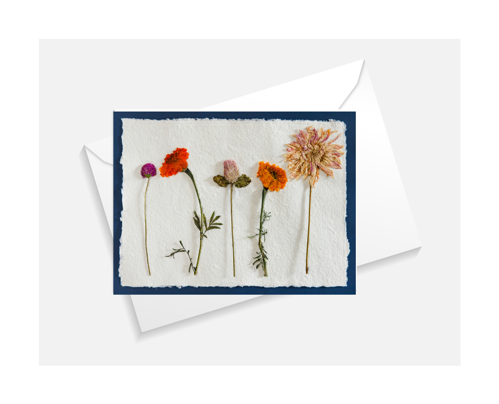Field Study No. 1 Greeting Card