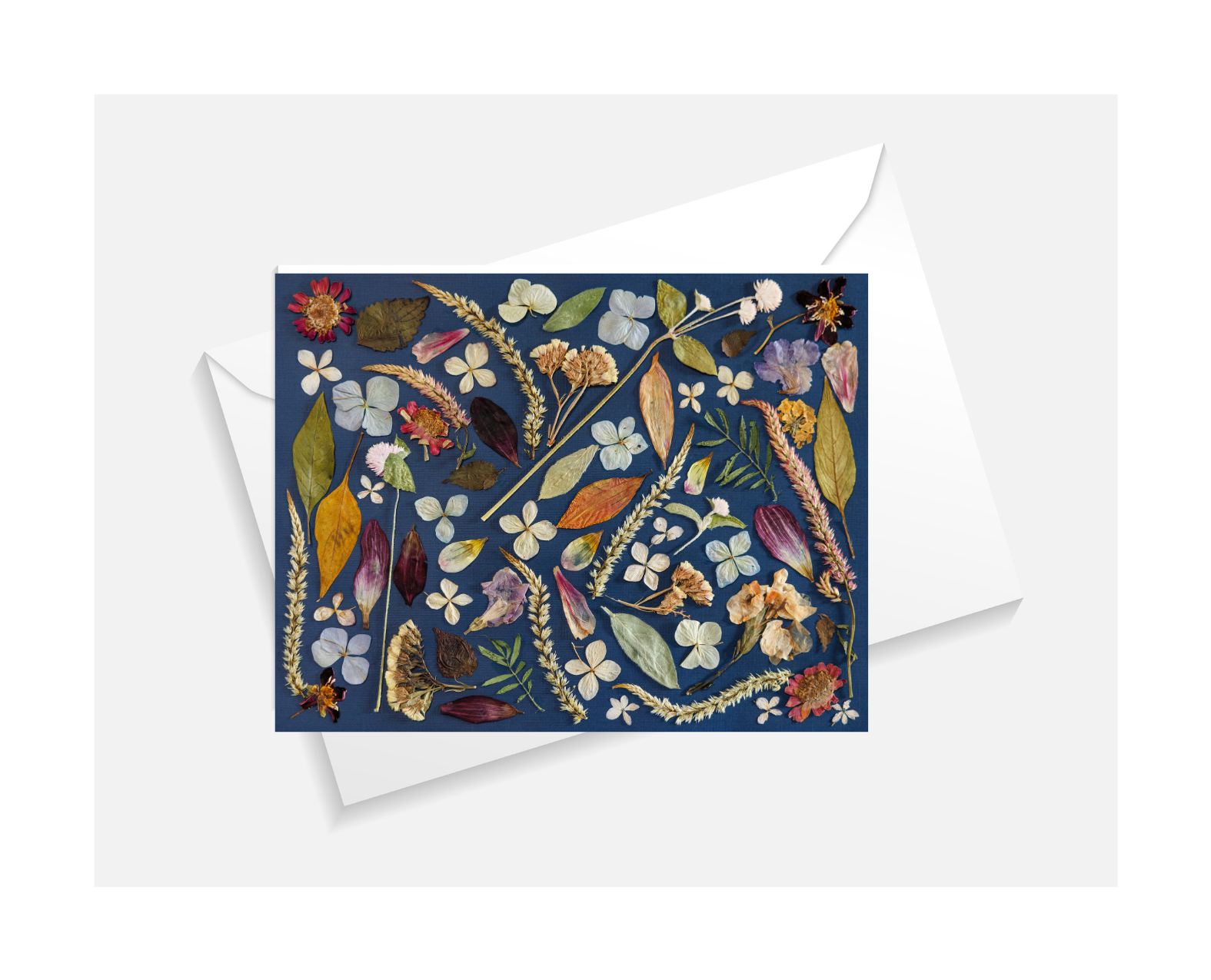 The Botanical Study Collection Set of 4