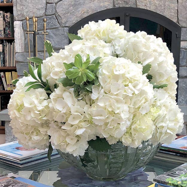 Schiffer Publishing - Marvelous Mopheads: Hydrangeas for Home & Garden