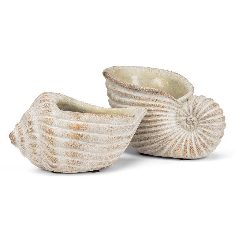 Small Nautilus Planter-6.5"L