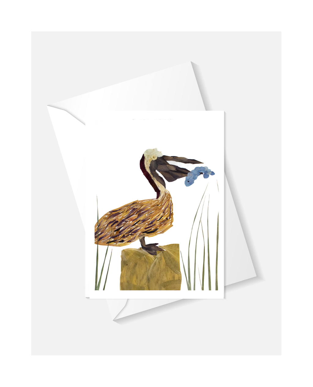 Pelican Greeting Card