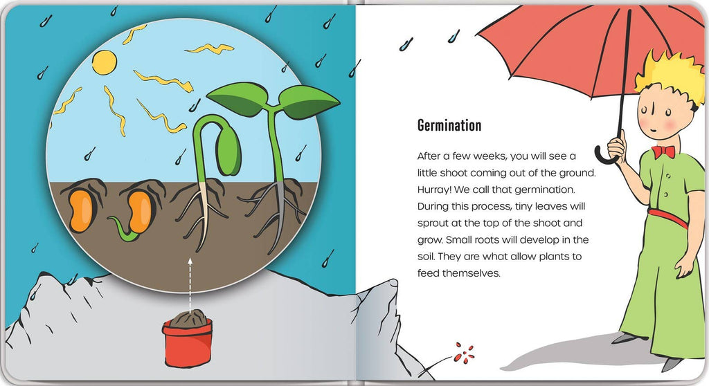 Independent Publishers Group - Little Prince Plants a Seed – An Environmental Picture Book