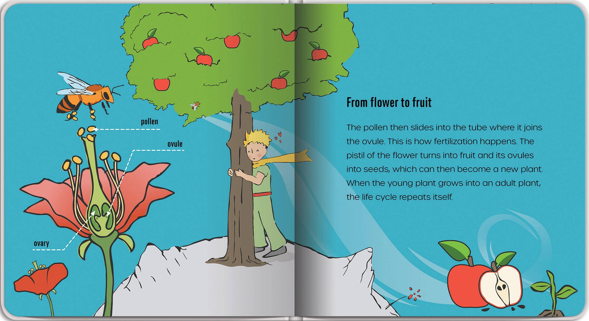 Independent Publishers Group - Little Prince Plants a Seed – An Environmental Picture Book