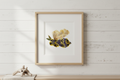 Framed artwork of a bumble bee with dried flowers and leaves on a white background 