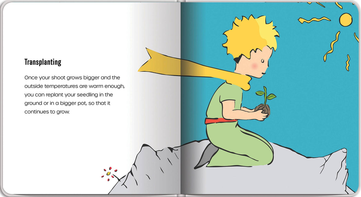 Independent Publishers Group - Little Prince Plants a Seed – An Environmental Picture Book