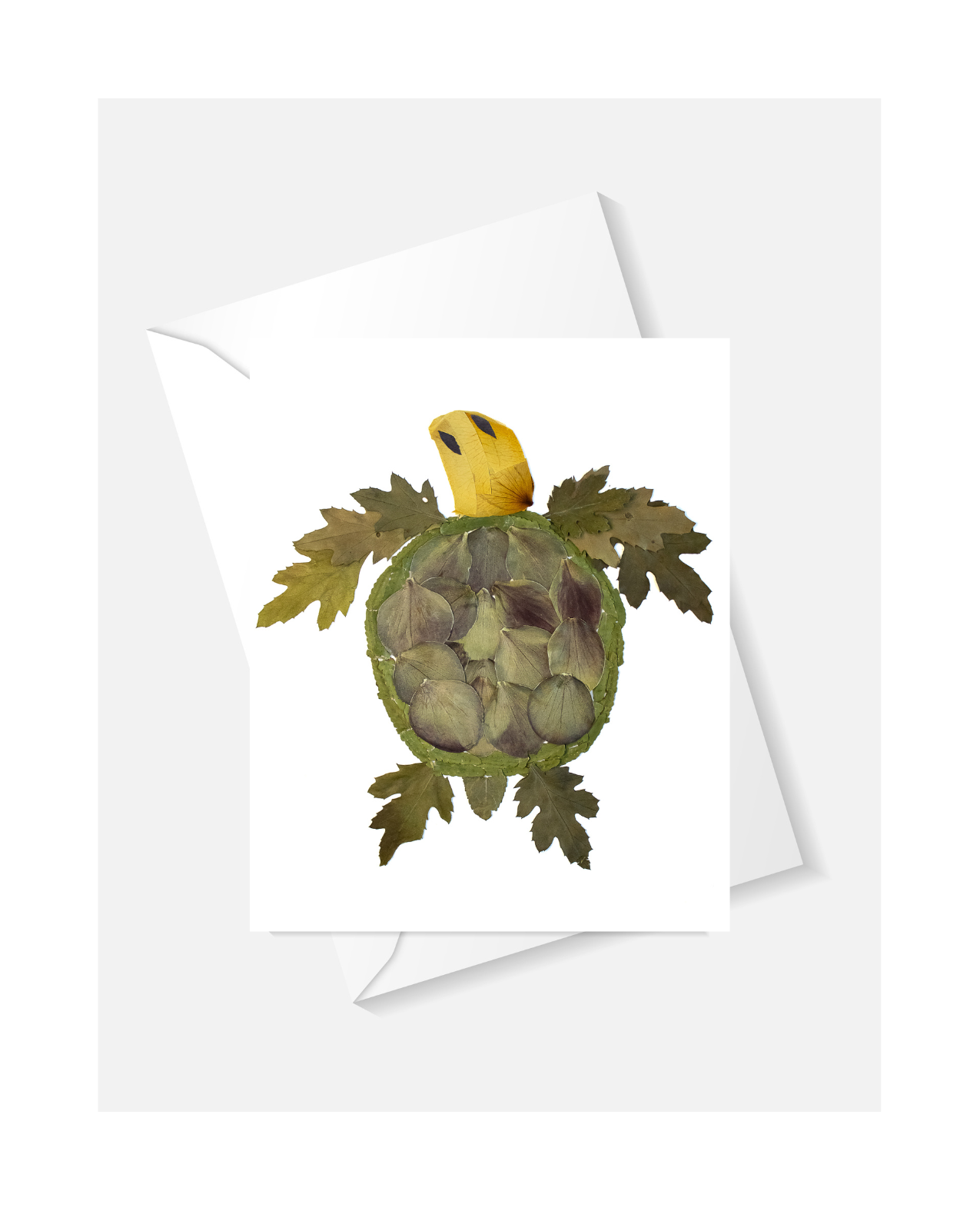 Turtle Notecards