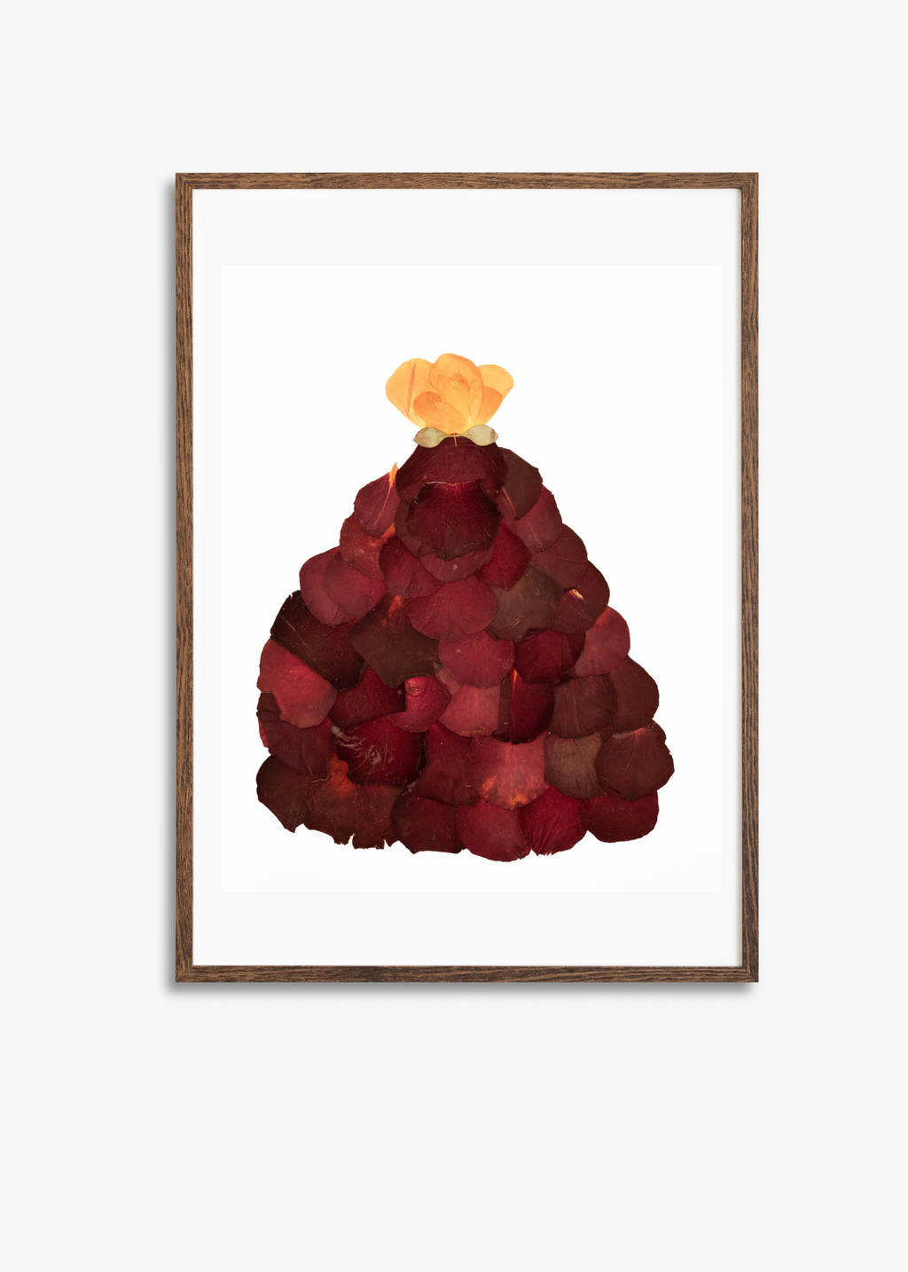 Framed artwork of a red dress made from pressed flowers on a white background
