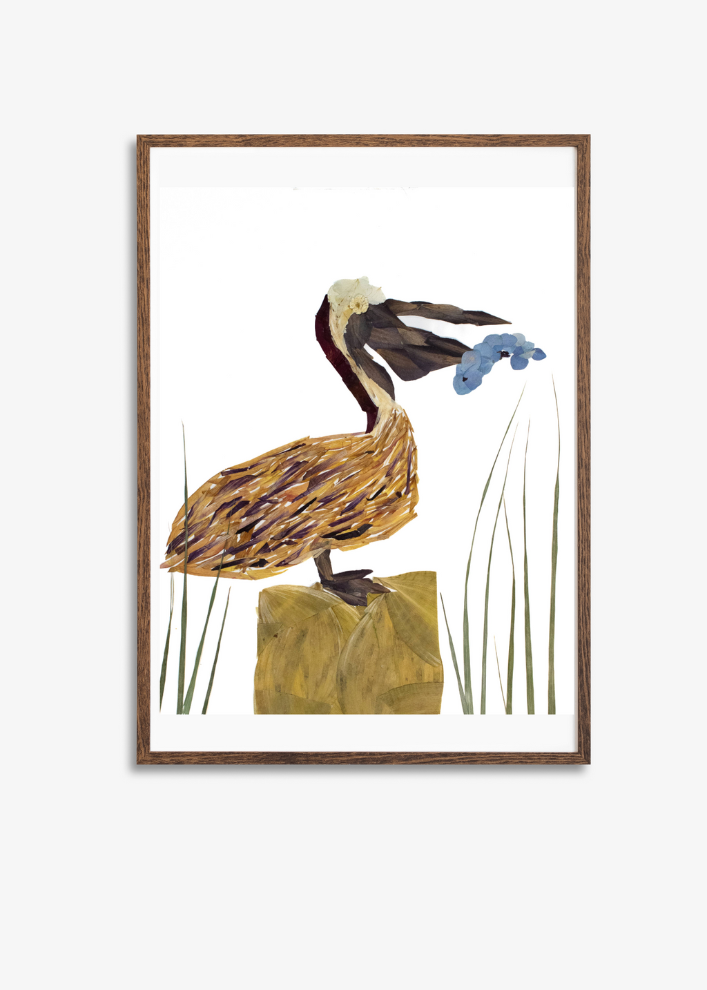Pelican Prints