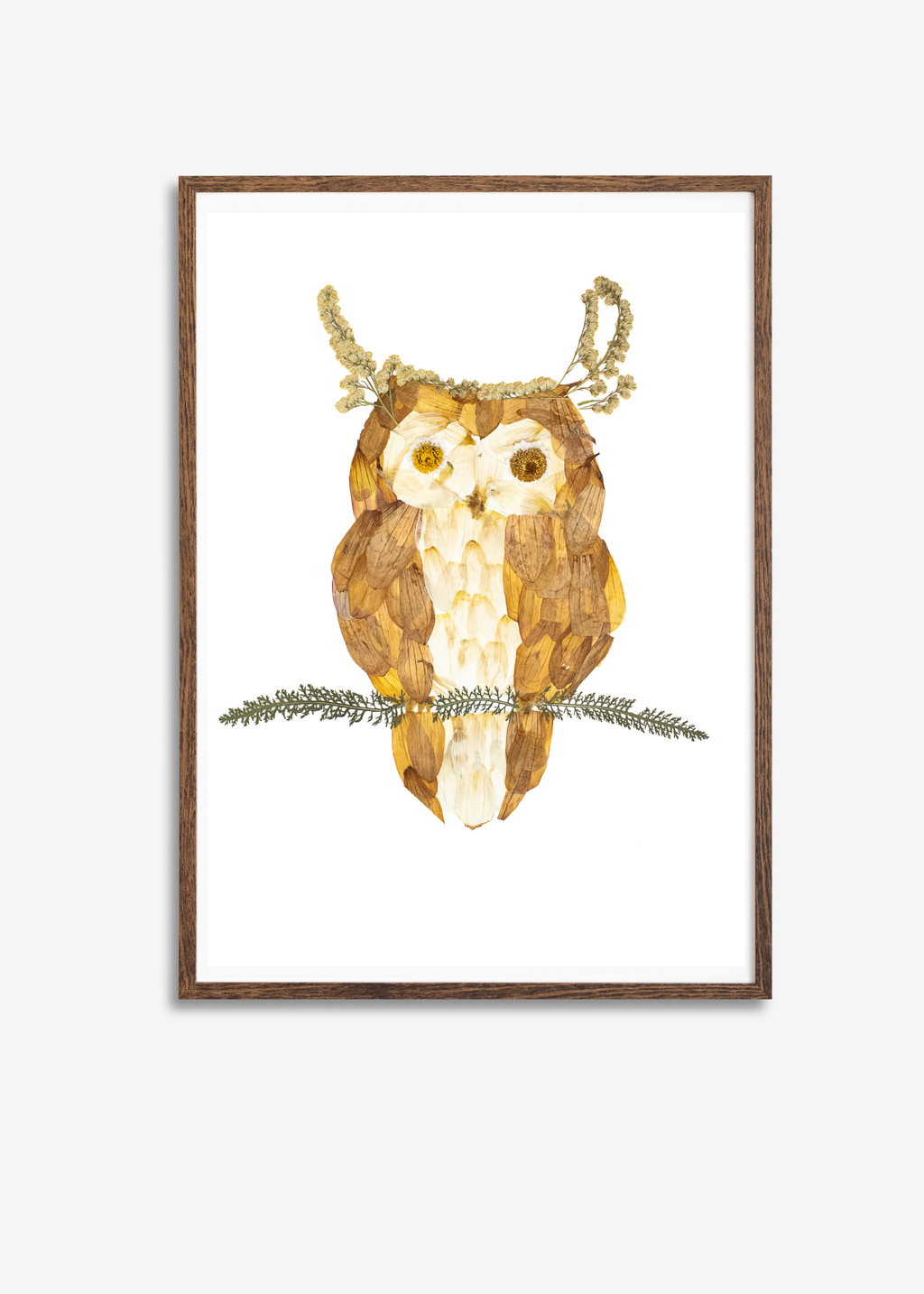 Owl Prints