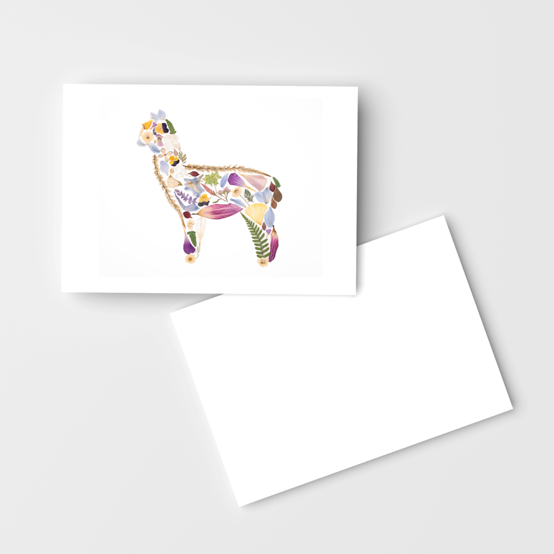 Alpaca Greeting Card