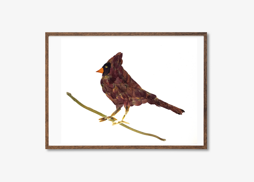 Cardinal Prints