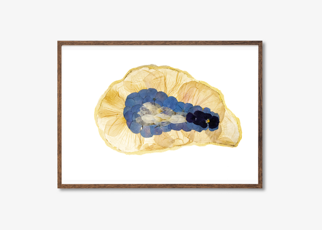 Oyster Prints