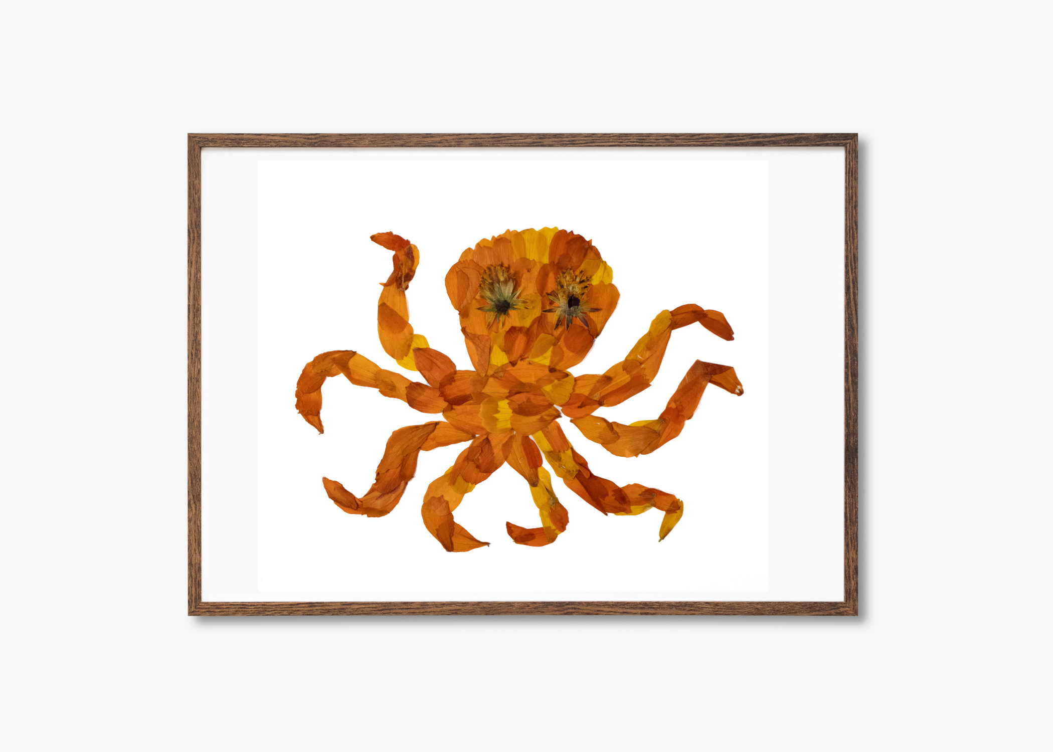 Octopus Prints