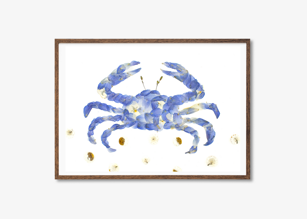 Blue Crab Prints