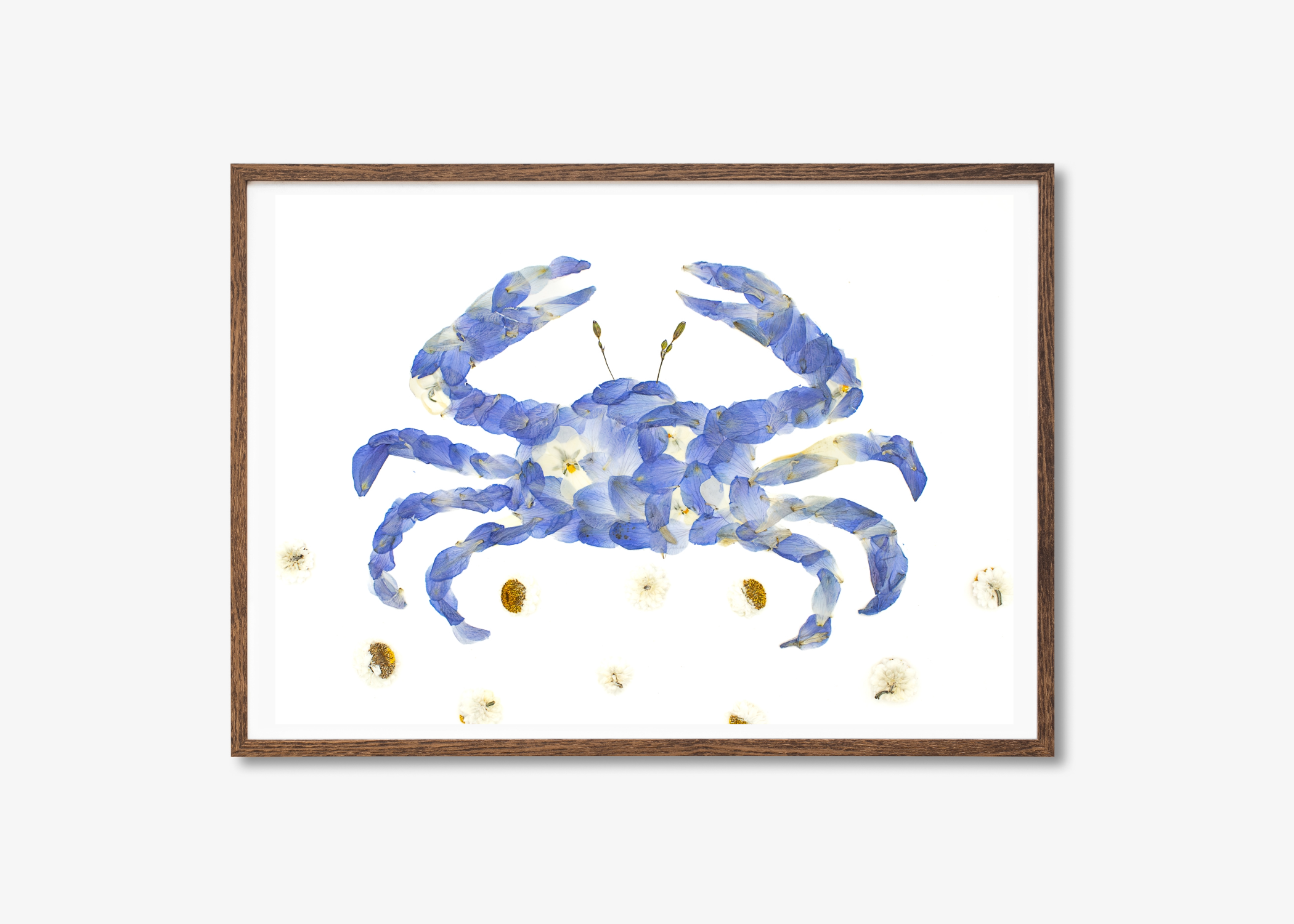 Blue Crab Prints