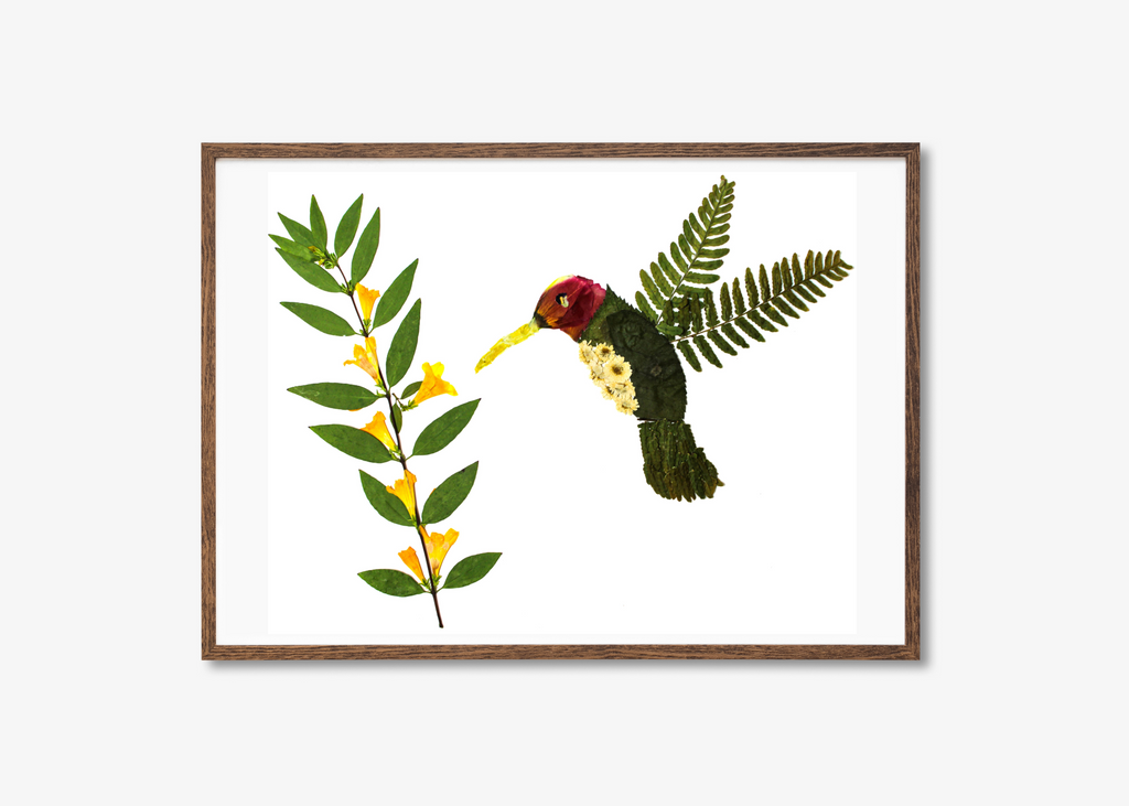 Hummingbird Prints