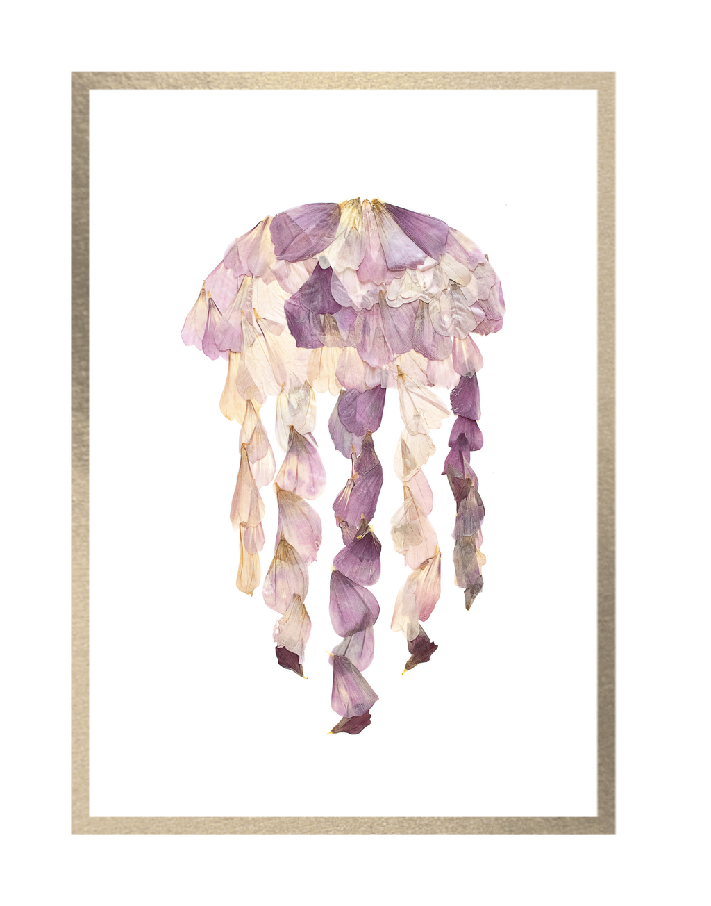 Jellyfish Prints