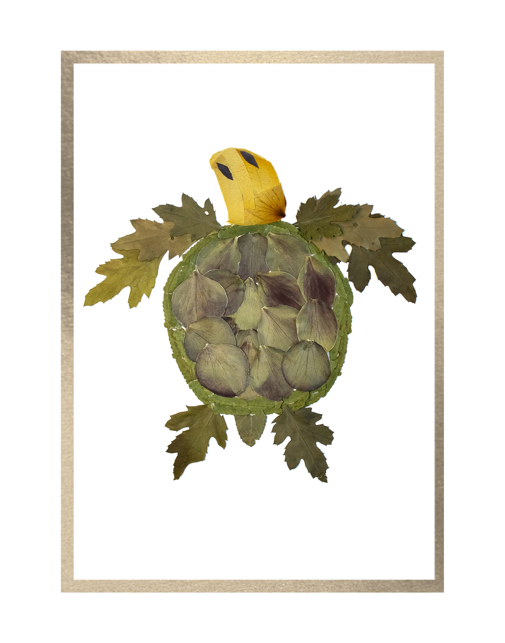 Turtle Prints