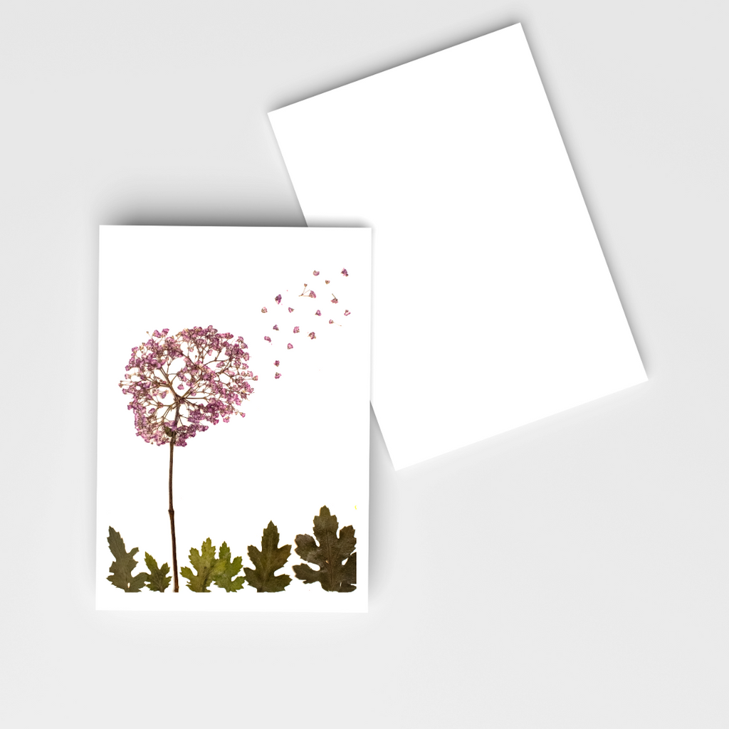Dandelion Notecards