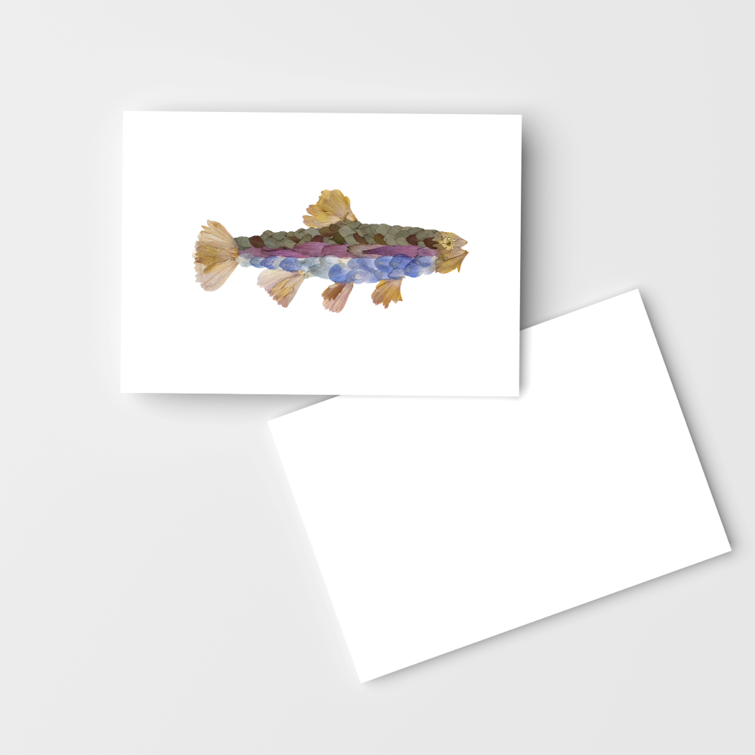Rainbow Trout Greeting Card