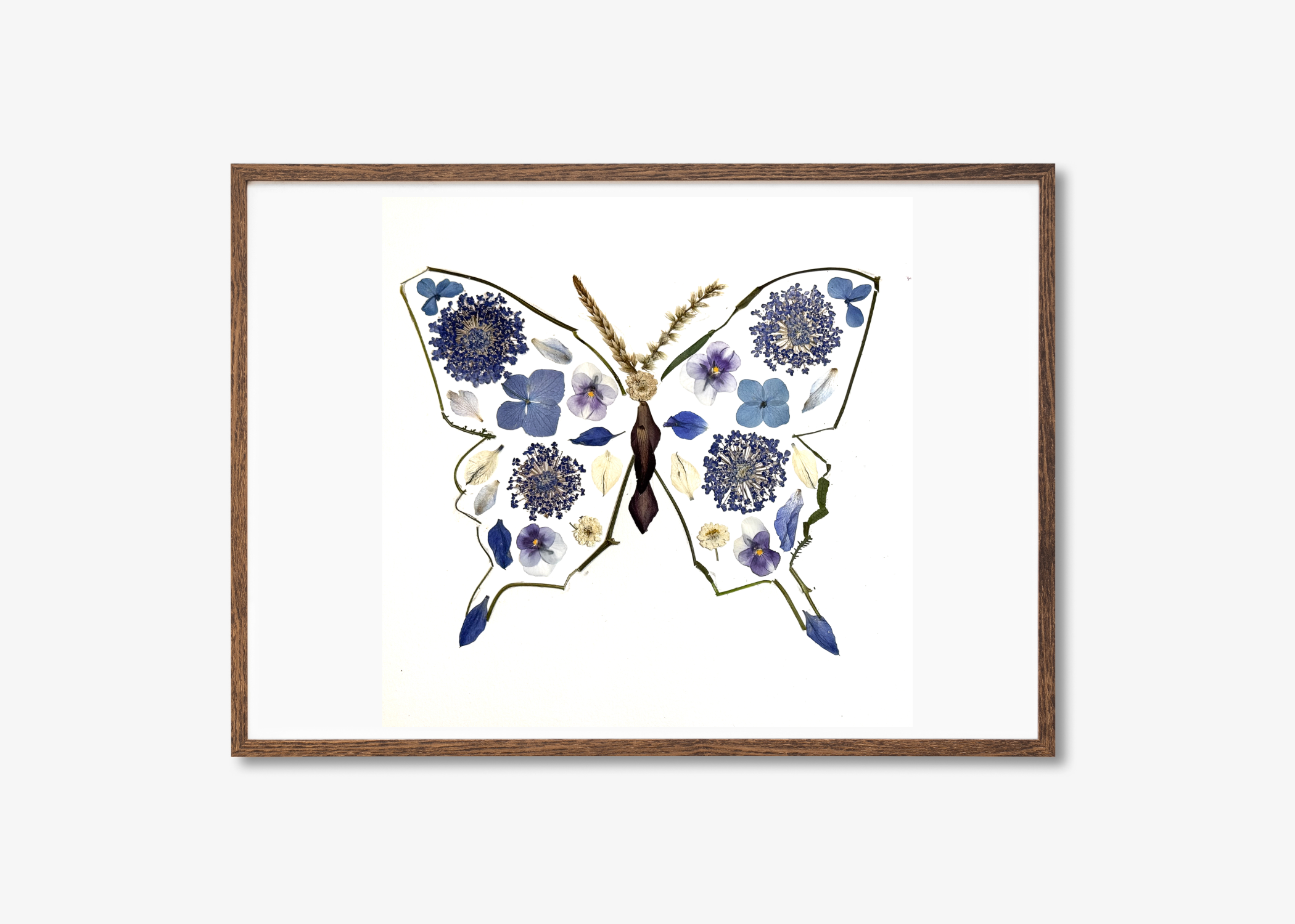 Butterfly Prints