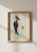 A pressed flat-lay art piece featuring a woodpecker crafted from dark brown and black leaves, a white chest detail, a reddish-brown crest, and a small yellow flower, set against a clean white background.