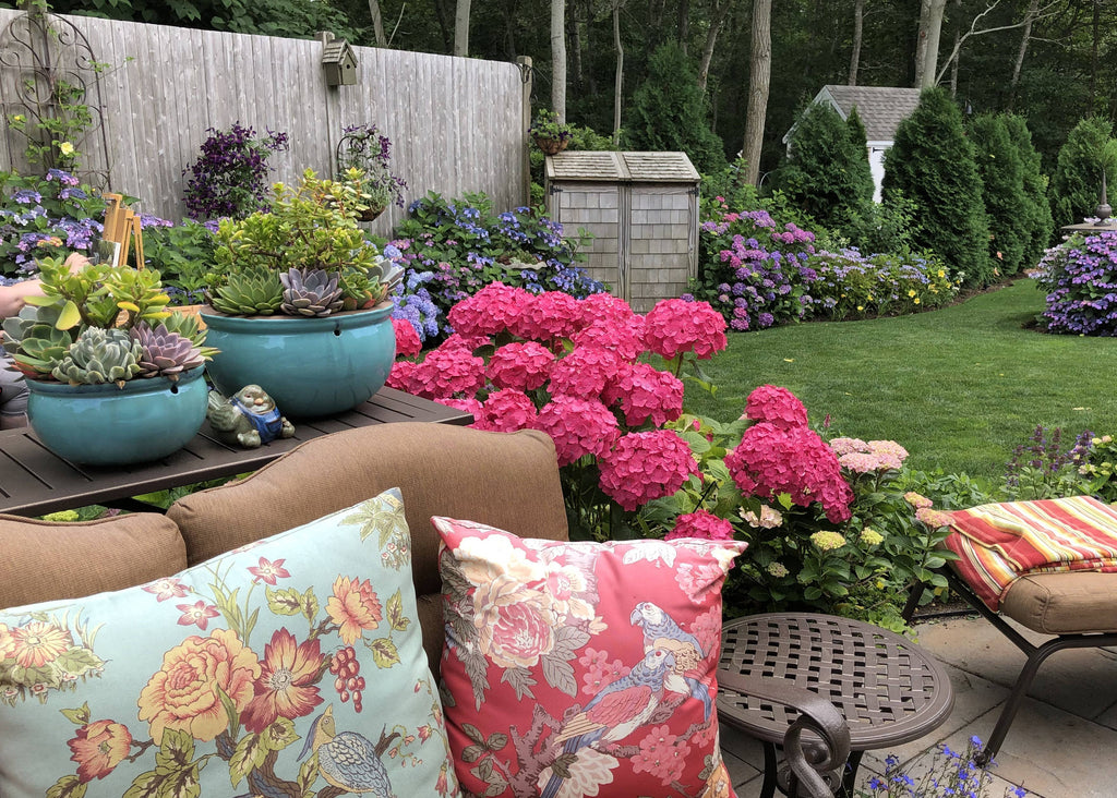 Schiffer Publishing - Marvelous Mopheads: Hydrangeas for Home & Garden