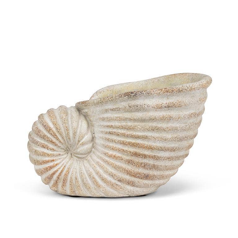 Small Nautilus Planter-6.5"L