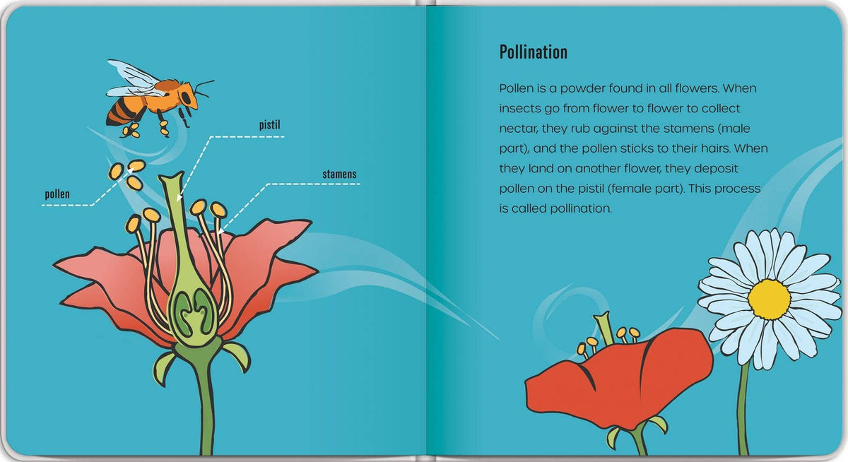 Independent Publishers Group - Little Prince Plants a Seed – An Environmental Picture Book