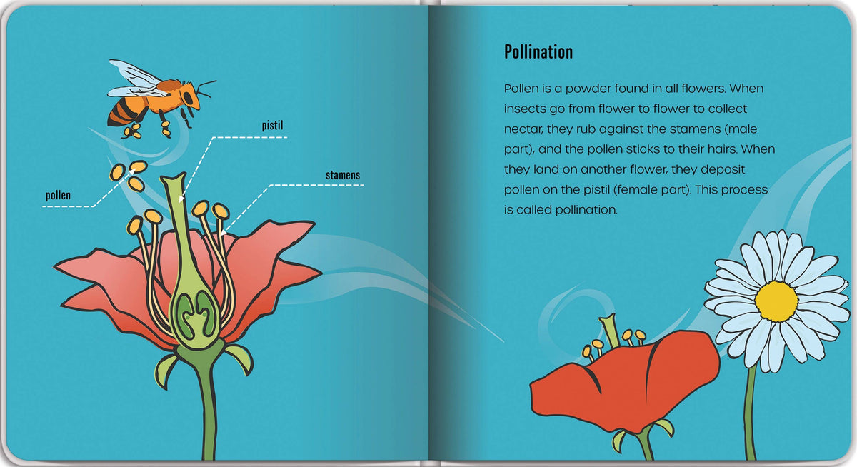 Independent Publishers Group - Little Prince Plants a Seed – An Environmental Picture Book