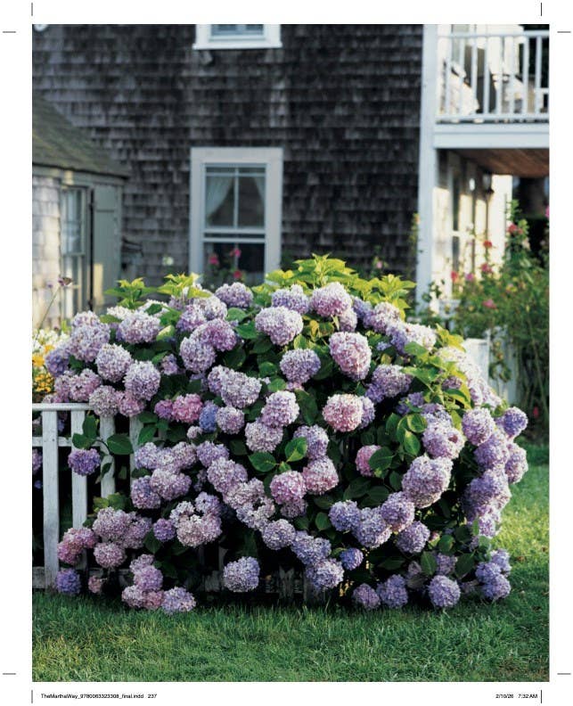 HarperCollins - Martha Way, The : Martha Stewart