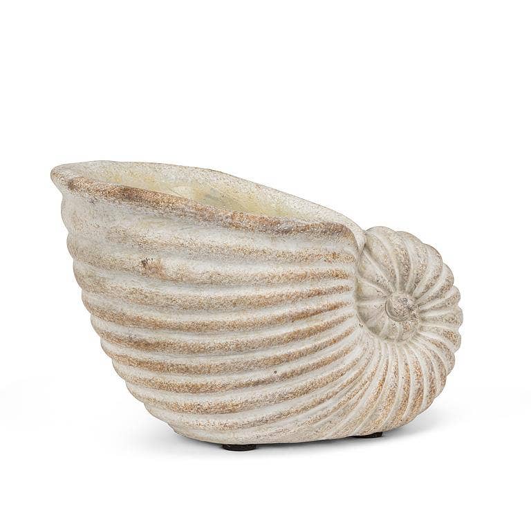 Small Nautilus Planter-6.5"L
