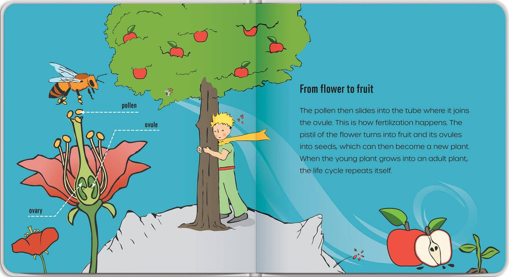 Independent Publishers Group - Little Prince Plants a Seed – An Environmental Picture Book