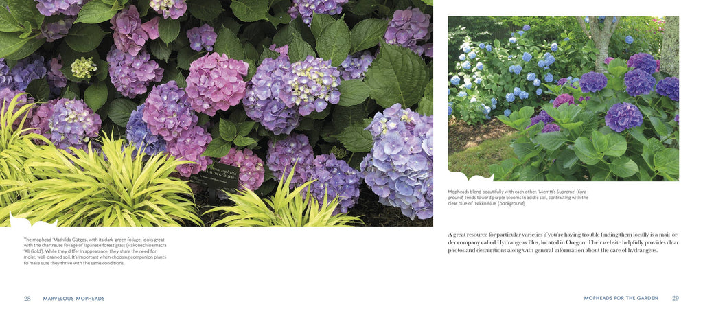 Schiffer Publishing - Marvelous Mopheads: Hydrangeas for Home & Garden