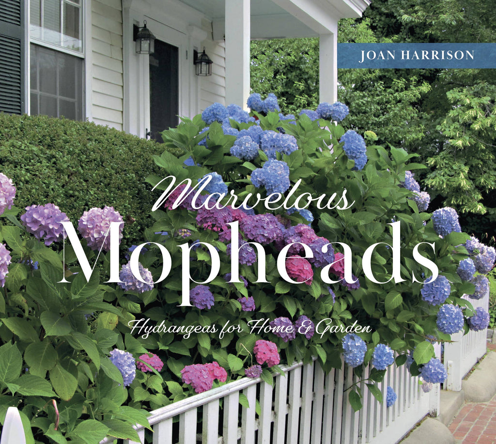Schiffer Publishing - Marvelous Mopheads: Hydrangeas for Home & Garden