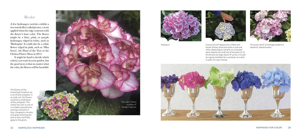 Schiffer Publishing - Marvelous Mopheads: Hydrangeas for Home & Garden